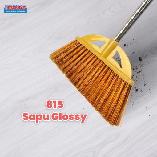 815 Glossy Broom - Image 2